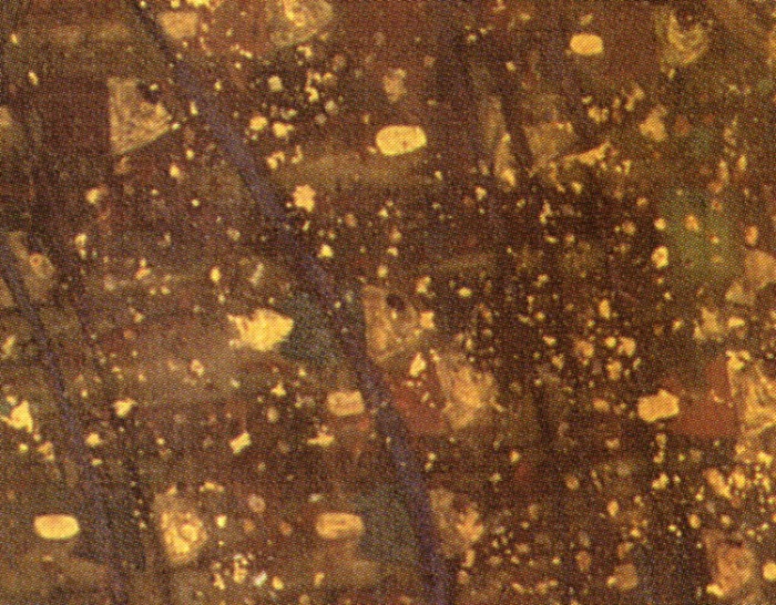 detail of water in Klimt's Goldfish